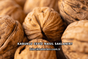 Kabuklu Ceviz Nasıl Saklanır?