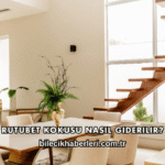 Rutubet Kokusu Nasıl Giderilir?