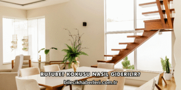 Rutubet Kokusu Nasıl Giderilir?