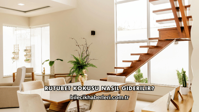Rutubet Kokusu Nasıl Giderilir?
