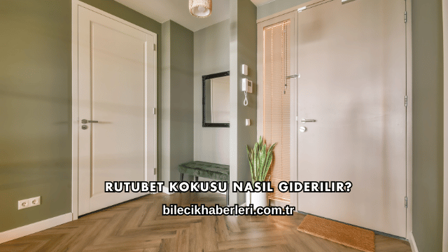 Rutubet Kokusu Nasıl Giderilir?