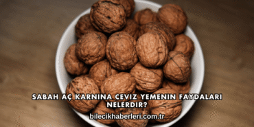 Sabah Aç Karnına Ceviz Yemenin Faydaları Nelerdir?