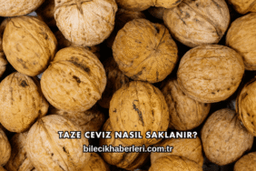 Taze Ceviz Nasıl Saklanır?