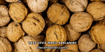 Taze Ceviz Nasıl Saklanır?