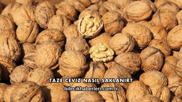 Taze Ceviz Nasıl Saklanır?